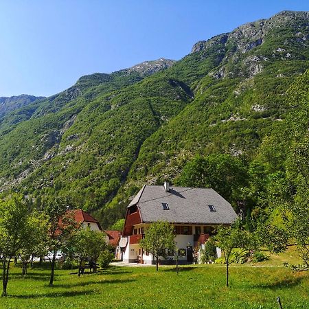 Apartment Jozi Soča Oda fotoğraf