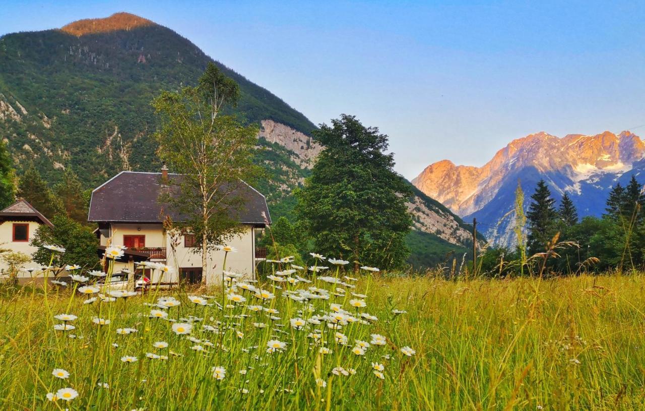Apartment Jozi Soča Dış mekan fotoğraf