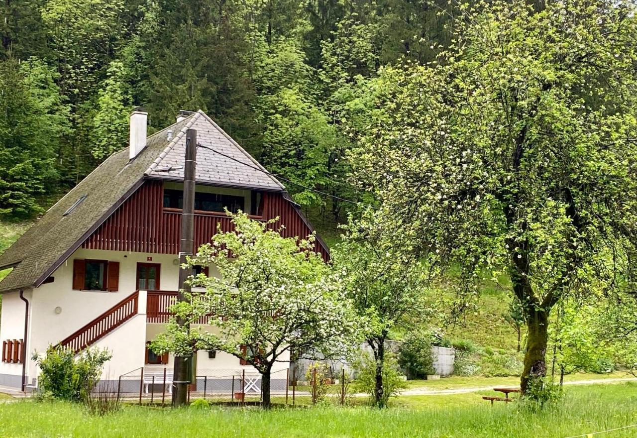 Apartment Jozi Soča Dış mekan fotoğraf