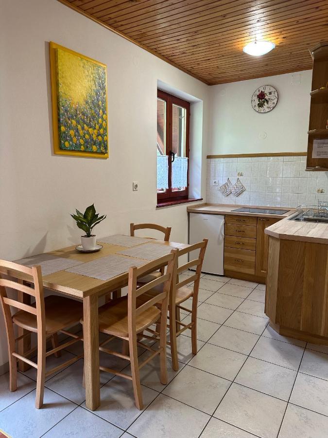 Apartment Jozi Soča Oda fotoğraf