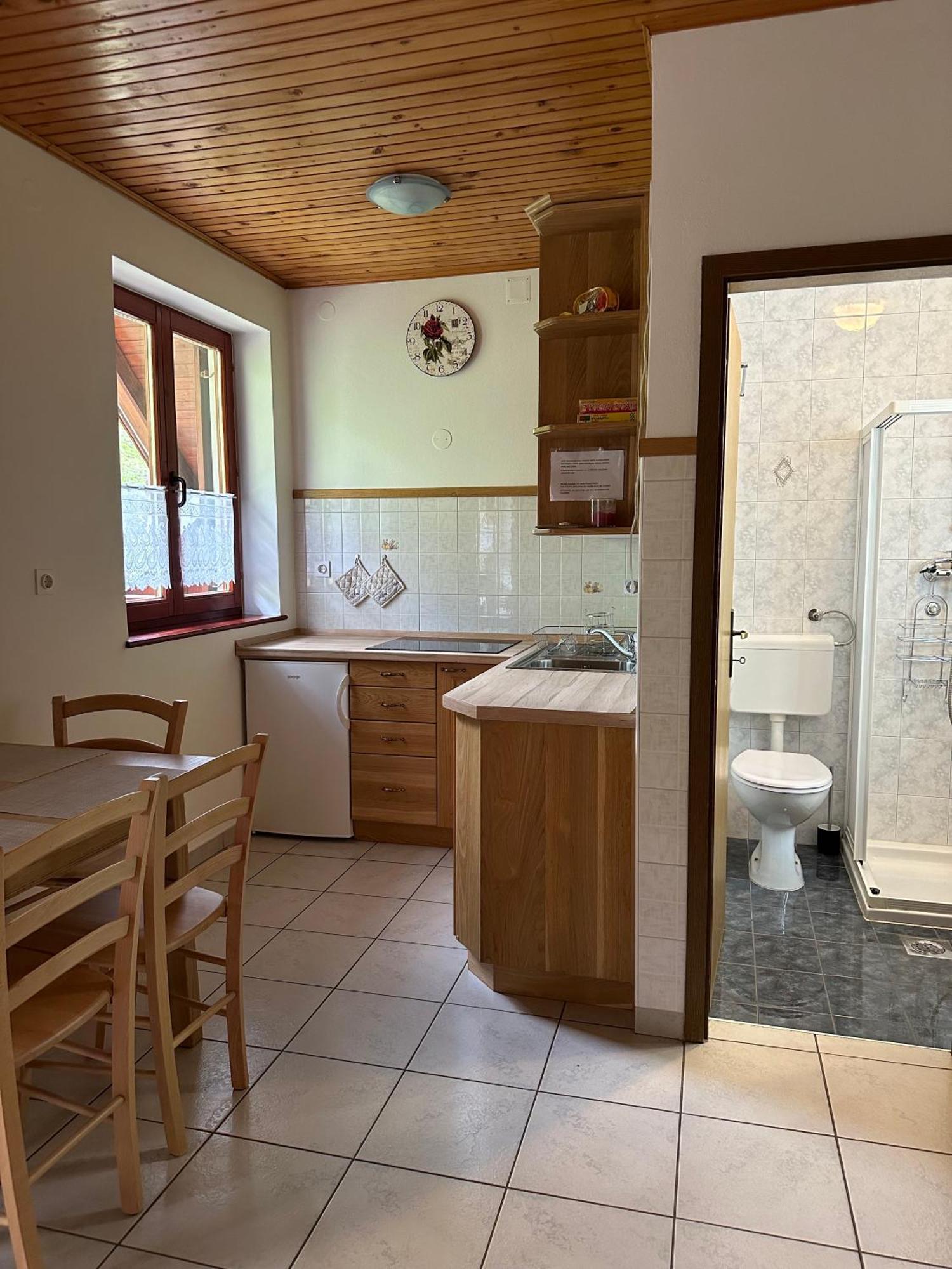 Apartment Jozi Soča Oda fotoğraf